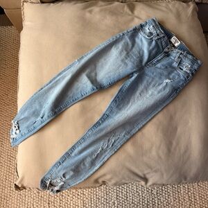 Agolde Lightly Distressed Skinny Jean